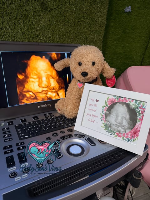 Beige teddy bear sitting next to a laptop displaying fire, surrounded by DJ equipment and decorative items on a pink and green setup